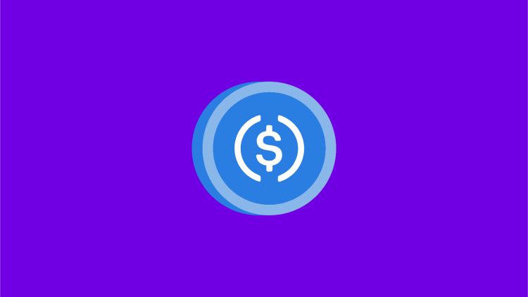USDC Emerges As Top Pick In Booming Crypto Payroll Trend—Survey
